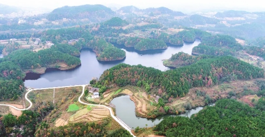 全力助推四川巴中恩陽區委托招商引資，合力打造產業新城