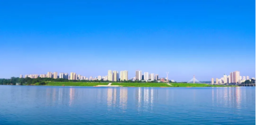 全力助推重慶潼南高新區(qū)委托招商引資，大力打造“6+1”產(chǎn)業(yè)集群！