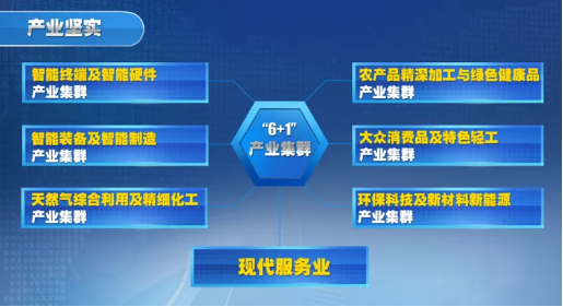全力助推重慶潼南高新區(qū)委托招商引資，大力打造“6+1”產(chǎn)業(yè)集群！