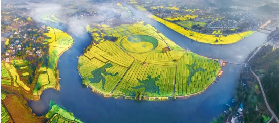 全力助推重慶潼南高新區(qū)委托招商引資，大力打造“6+1”產(chǎn)業(yè)集群！