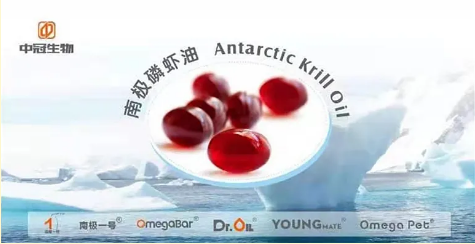 集團全力助推吉林琿春邊境經濟合作區委托招商引資，聚力打造百億級特色產業集群
