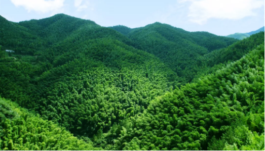 集團全力助推安徽六安霍山縣委托招商引資，著力打造支柱型特色產業高質發展