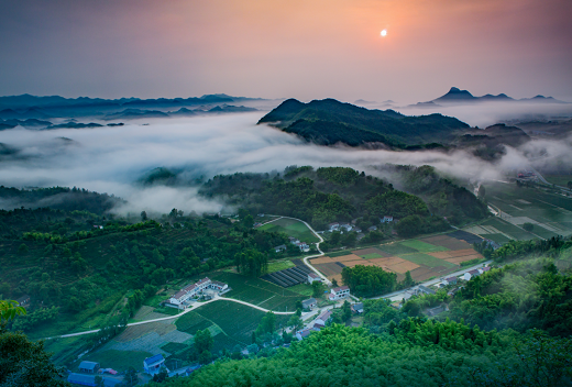 集團全力助推安徽六安霍山縣委托招商引資，著力打造支柱型特色產業高質發展