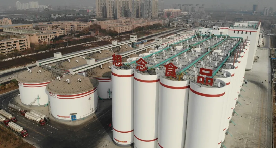 集團助力河南省南陽市鎮(zhèn)平縣委托招商引資，推動縣域經(jīng)濟大轉型
