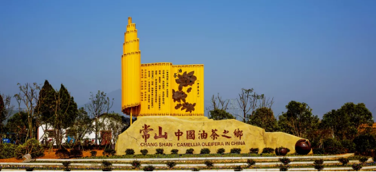 政府委托招商合作丨全力助推浙江衢州常山縣傳統(tǒng)產(chǎn)業(yè)加快升級，新興產(chǎn)業(yè)異軍突起