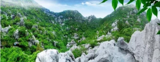 政府委托招商合作丨全力助推浙江衢州常山縣傳統(tǒng)產(chǎn)業(yè)加快升級，新興產(chǎn)業(yè)異軍突起