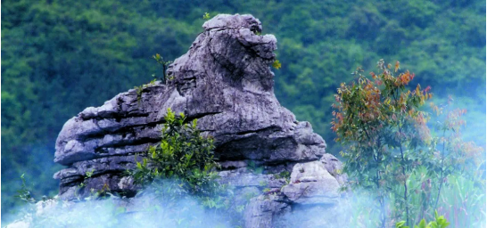 政府委托招商合作丨全力助推浙江衢州常山縣傳統(tǒng)產(chǎn)業(yè)加快升級，新興產(chǎn)業(yè)異軍突起