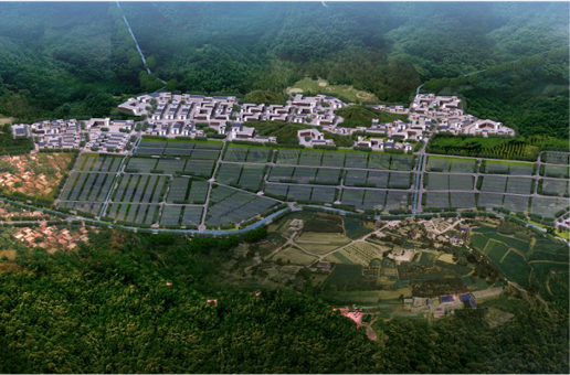 集團全力助推福建寧德周寧縣委托招商引資，強化特色產(chǎn)業(yè)實力，為全縣高質(zhì)量發(fā)展增添新動力