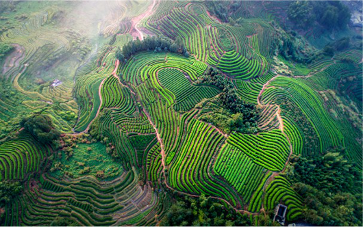 集團全力助推福建寧德周寧縣委托招商引資，強化特色產(chǎn)業(yè)實力，為全縣高質(zhì)量發(fā)展增添新動力