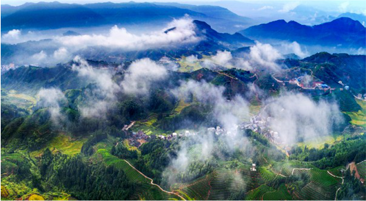 集團全力助推福建寧德周寧縣委托招商引資，強化特色產(chǎn)業(yè)實力，為全縣高質(zhì)量發(fā)展增添新動力
