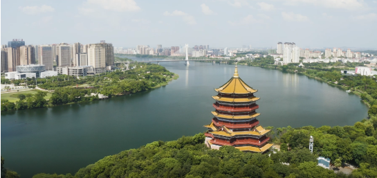 集團全力助推江西省鷹潭市月湖區委托招商引資，發揮多重優勢，打造產業集群