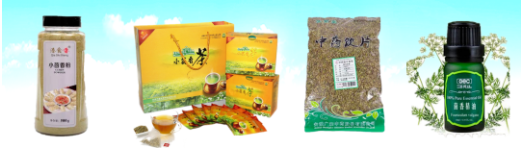 集團(tuán)全力助推甘肅省民勤縣委托招商引資，立足稟賦資源撬動產(chǎn)業(yè)蝶變升級
