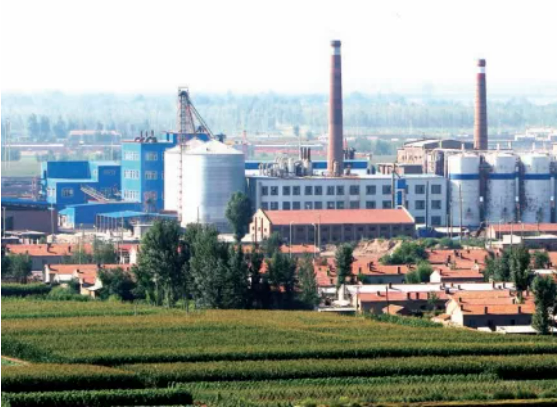 集團全力助推內蒙古自治區通遼市委托招商引資，強勢打造五大產業集群高質量發展新格局