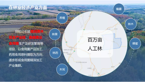 集團(tuán)全力助推黑龍江齊齊哈爾拜泉縣委托招商引資，立足資源優(yōu)勢，開辟產(chǎn)業(yè)集群高質(zhì)量發(fā)展新高地