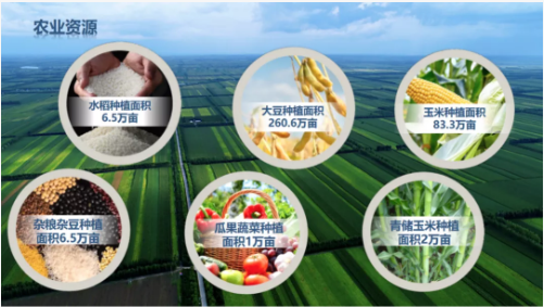 集團(tuán)全力助推黑龍江齊齊哈爾拜泉縣委托招商引資，立足資源優(yōu)勢，開辟產(chǎn)業(yè)集群高質(zhì)量發(fā)展新高地