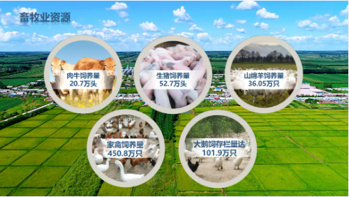 集團(tuán)全力助推黑龍江齊齊哈爾拜泉縣委托招商引資，立足資源優(yōu)勢，開辟產(chǎn)業(yè)集群高質(zhì)量發(fā)展新高地