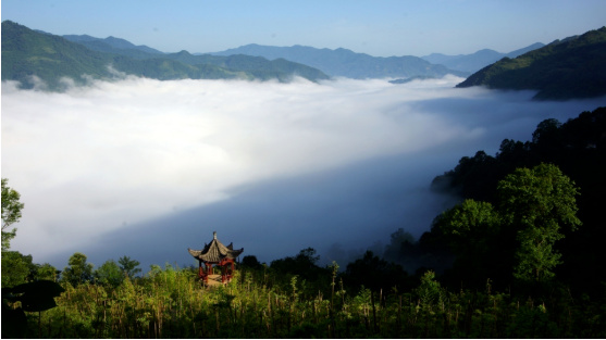 集團全力助推甘肅隴南康縣委托招商引資，以綠色發展推動鄉村振興