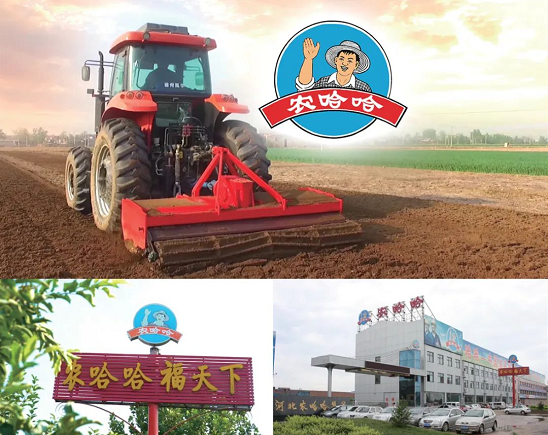 集團全力助推河北石家莊深澤縣委托招商引資，立足“一主兩優兩傳統”，加快構建現代產業體系
