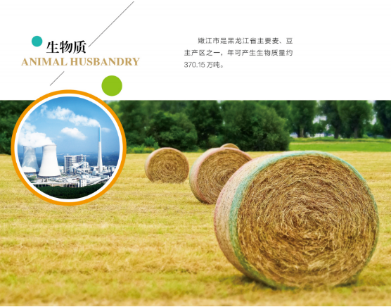 集團全力助推黑龍江嫩江市委托招商引資，以6大優勢助推地方產業高質量發展