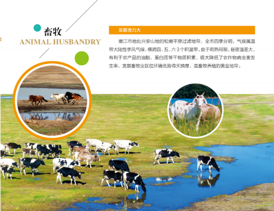 集團全力助推黑龍江嫩江市委托招商引資，以6大優勢助推地方產業高質量發展