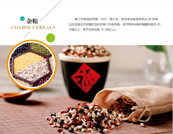 集團全力助推黑龍江嫩江市委托招商引資，以6大優勢助推地方產業高質量發展