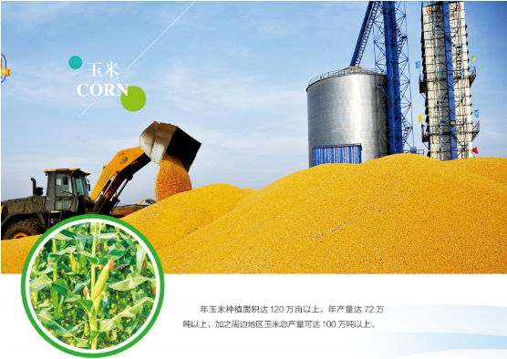 集團全力助推黑龍江嫩江市委托招商引資，以6大優勢助推地方產業高質量發展