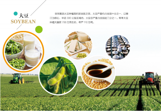 集團全力助推黑龍江嫩江市委托招商引資，以6大優勢助推地方產業高質量發展