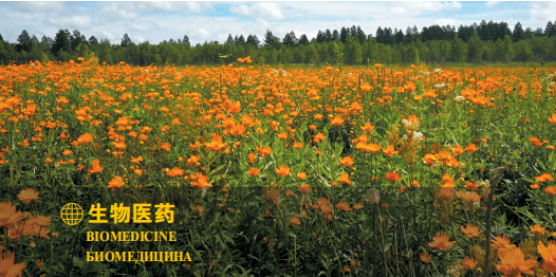 集團全力助推黑龍江大興安嶺委托招商引資，聚力將“冷資源”轉(zhuǎn)化為“熱經(jīng)濟”！