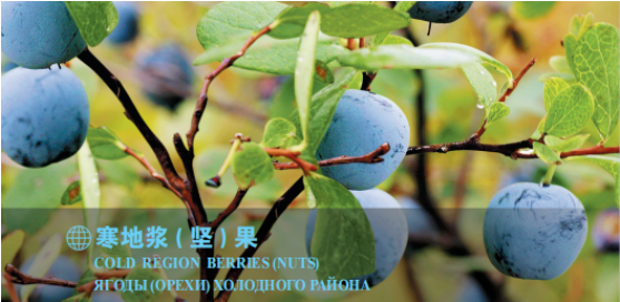 集團全力助推黑龍江大興安嶺委托招商引資，聚力將“冷資源”轉(zhuǎn)化為“熱經(jīng)濟”！