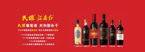 集團全力助推河南商丘民權縣委托招商引資，奮力打造民權特色產業(yè)發(fā)展高地