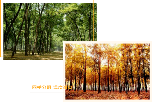 集團全力助推河南商丘民權縣委托招商引資，奮力打造民權特色產業(yè)發(fā)展高地