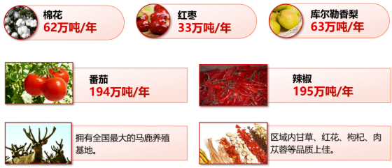 集團全力助推新疆第二師鐵門關市委托招商引資，打造宜居宜業軍墾生態新城！
