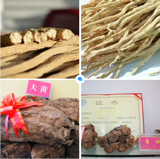 集團全力助推甘肅隴南宕昌縣委托招商引資，以特色優(yōu)勢資源引領，培育綠色產業(yè)高質量發(fā)展！
