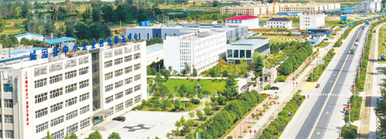 集團全力助推陜西省城固縣委托招商引資，打造百億級產業集群