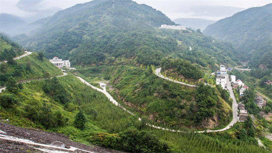 集團全力助推甘肅隴南武都區(qū)委托招商引資，將地域資源優(yōu)勢轉(zhuǎn)化為經(jīng)濟發(fā)展新動能