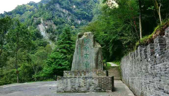 東方龍商務集團全力助推甘肅隴南文縣委托招商招商引資，重點構建特色農業、優勢工業、文旅康養三大產業集群