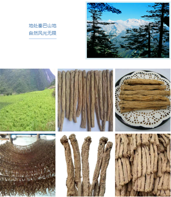 東方龍商務集團全力助推甘肅隴南文縣委托招商招商引資，重點構建特色農業、優勢工業、文旅康養三大產業集群