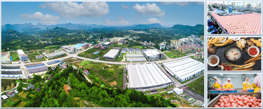 集團全力助推四川巴中恩陽區委托招商引資，全面建設“兩地三區”現代化新恩陽