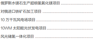 集團全力助推黑龍江省同江市委托招商引資，充分挖掘開發(fā)潛能，再次綻放邊陲魅力