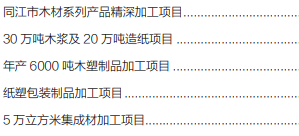 集團全力助推黑龍江省同江市委托招商引資，充分挖掘開發(fā)潛能，再次綻放邊陲魅力