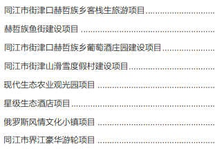 集團全力助推黑龍江省同江市委托招商引資，充分挖掘開發(fā)潛能，再次綻放邊陲魅力