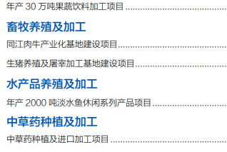集團全力助推黑龍江省同江市委托招商引資，充分挖掘開發(fā)潛能，再次綻放邊陲魅力