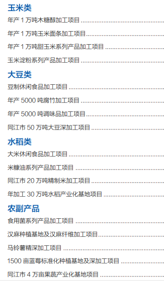集團全力助推黑龍江省同江市委托招商引資，充分挖掘開發(fā)潛能，再次綻放邊陲魅力