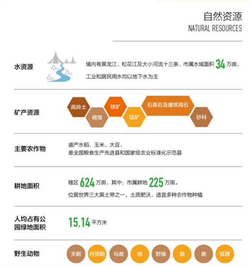 集團全力助推黑龍江省同江市委托招商引資，充分挖掘開發(fā)潛能，再次綻放邊陲魅力