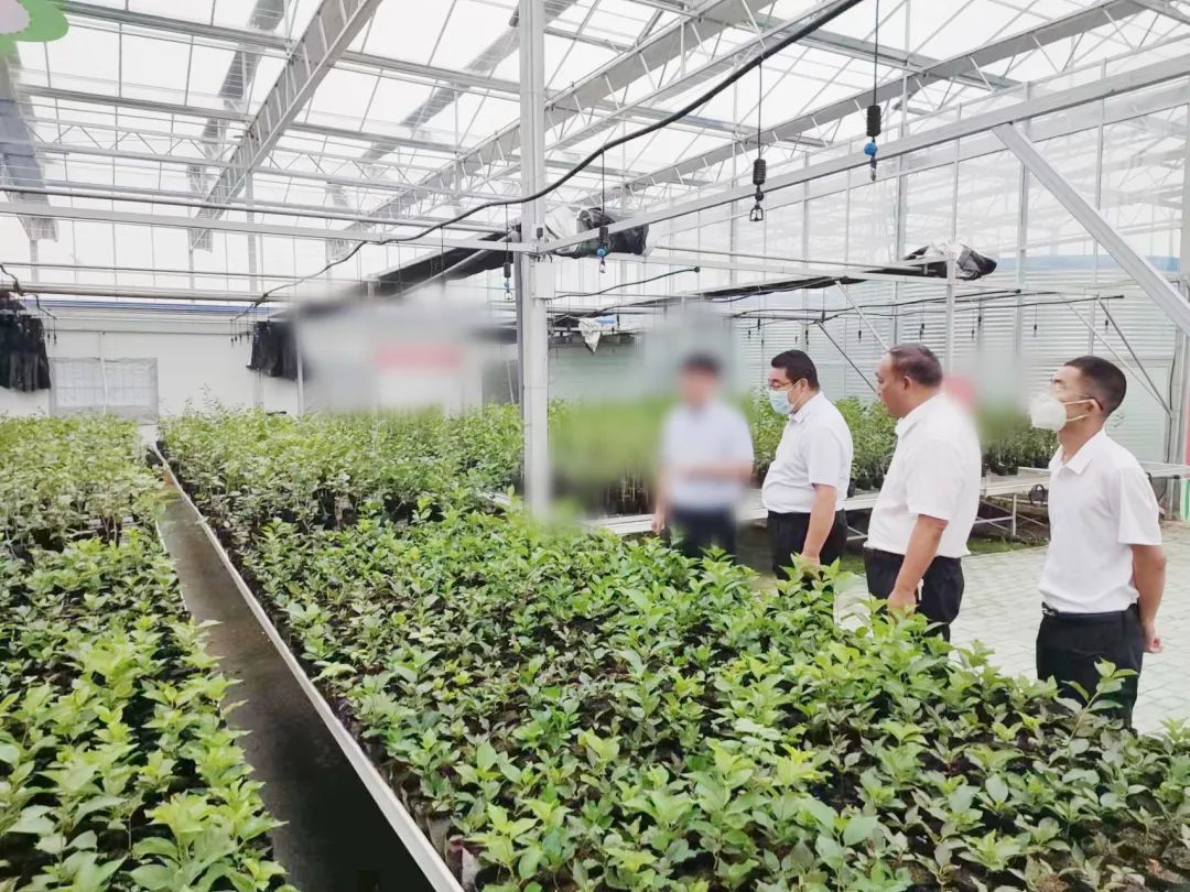 創新農業科技，培育發展動能！甘肅某地方政府考察智慧農業基地投資選址項目