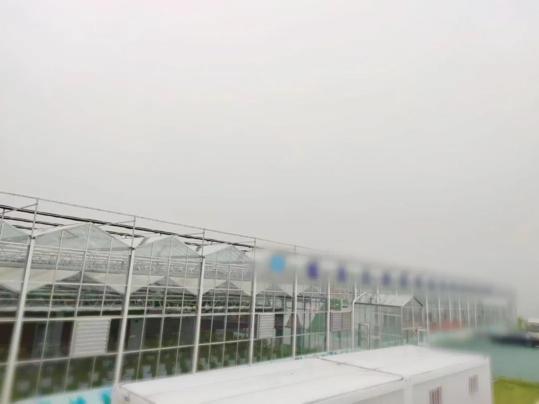 創新農業科技，培育發展動能！甘肅某地方政府考察智慧農業基地投資選址項目