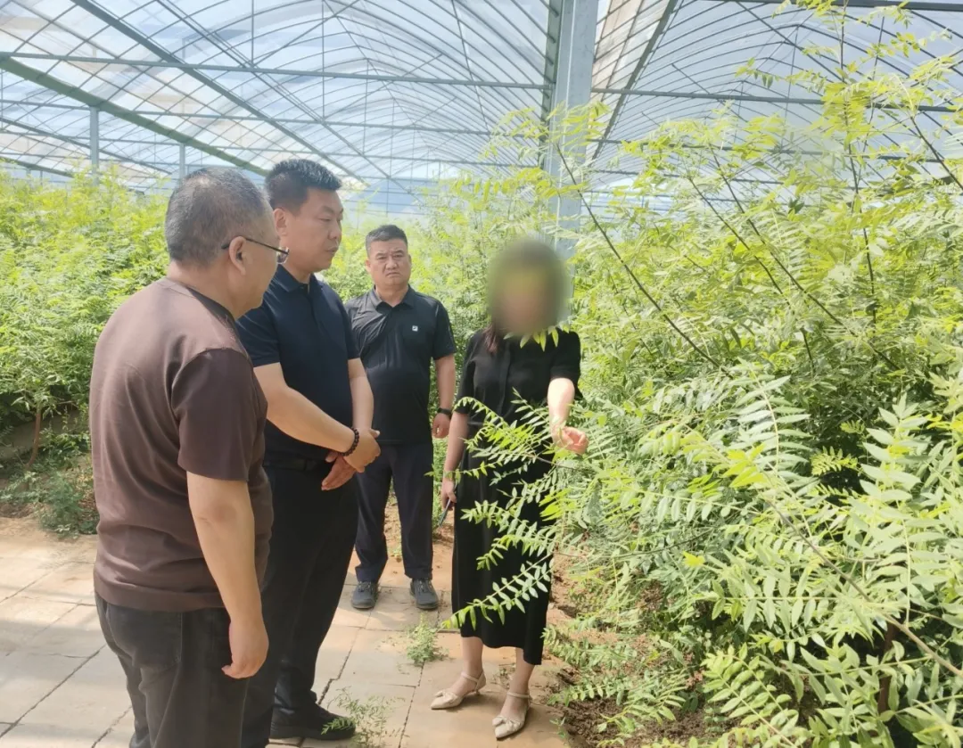 投資7億，國有企業、省龍頭企業！甘肅某地方政府實地對接國企高品質植物油生產擴建投資選址項目