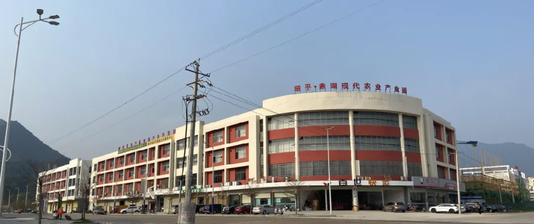 集團全力助推廣西賀州昭平縣委托招商引資，助力產業蝶變升級！