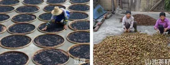 集團全力助推廣西賀州昭平縣委托招商引資，助力產業蝶變升級！