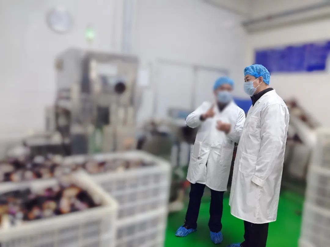 20年老牌企業(yè)，多家知名連鎖品牌合作商！四川某地方政府實地對接品牌休閑食品擴建投資選址項目